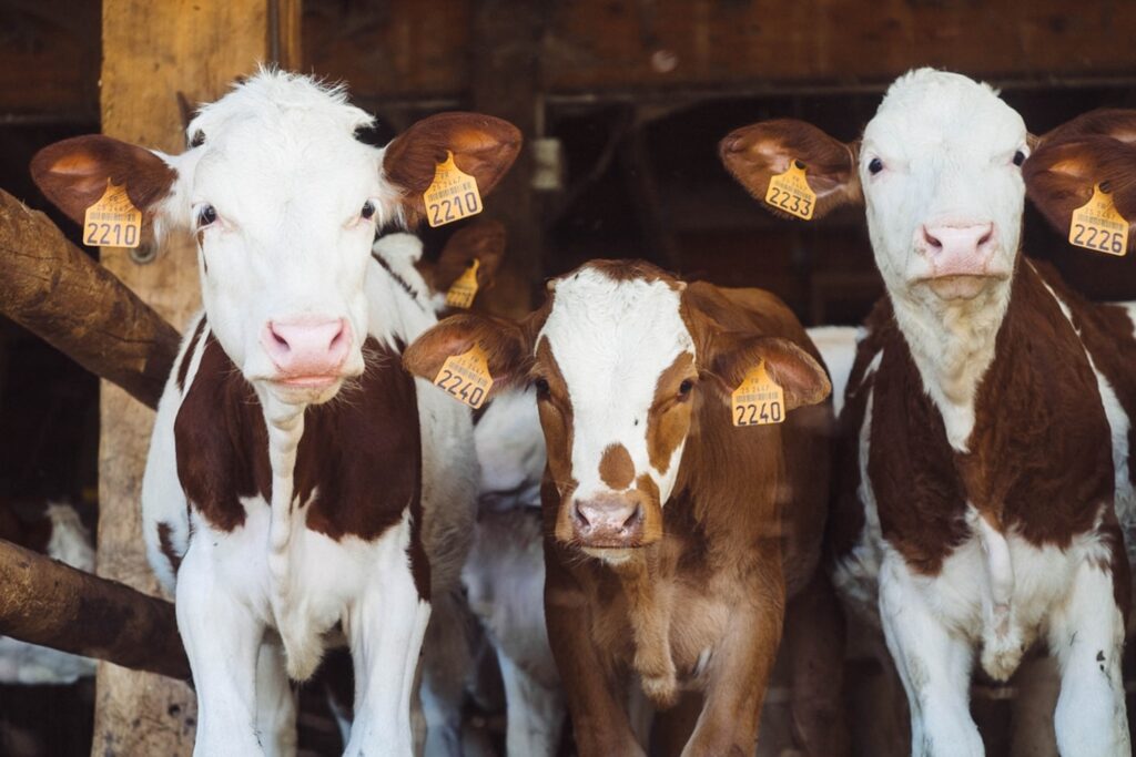 Data-Driven Farming: Insights for Better Harvests Featured Image 6 1024x683